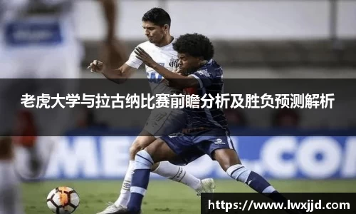 老虎大学与拉古纳比赛前瞻分析及胜负预测解析